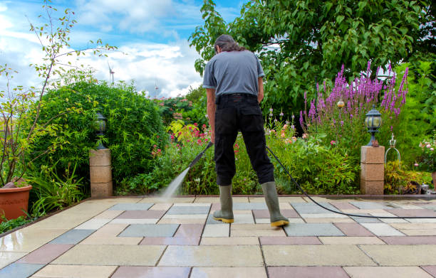 Best Winterizing Services  in Saukville, WI